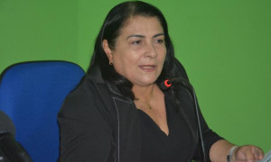 REQUERIMENTO SUGERE AUDIÊNCIA PÚBLICA COM A COMUNIDADE PARA TRATAR SOBRE OS ANIMAIS SOLTOS NAS VIAS PÚBLICAS DE ARNEIROZ.