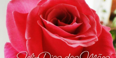 Parabéns a Todas as Mães Arneirozenses. 