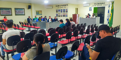 CÂMARA APROVA PROJETO DO EXECUTIVO QUE CONCEDE SUBVENÇÃO ÀS ASSOCIAÇÕES ARTE JUCÁ, MUC ARTE E FUNDAÇÃO FRANCISCA ELCI