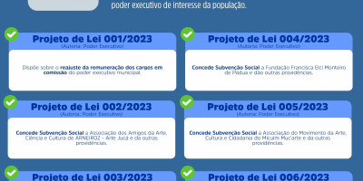 LEGISLATIVO EM AÇÃO