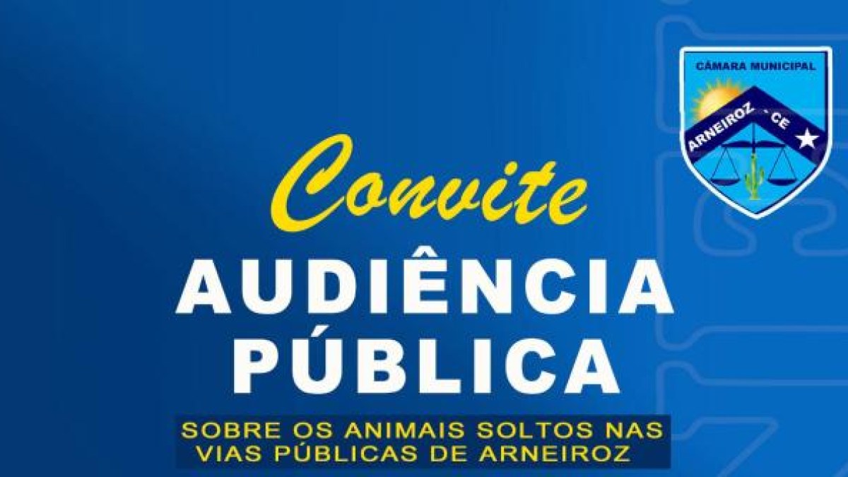 AUDIÊNCIA PUBLICA